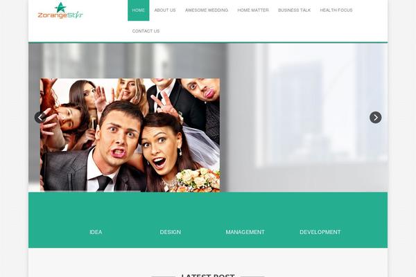 Site using Ultimate Widgets Light plugin