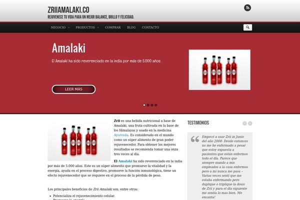 Elegantbiz theme site design template sample