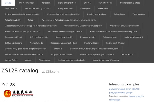 rtPanel theme site design template sample
