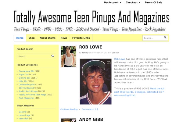 Hello-elementor-child theme site design template sample