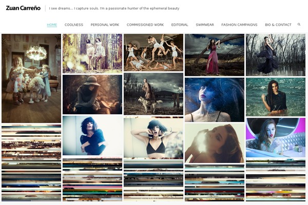 Oyster theme site design template sample