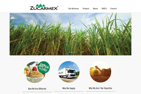 Roots theme site design template sample