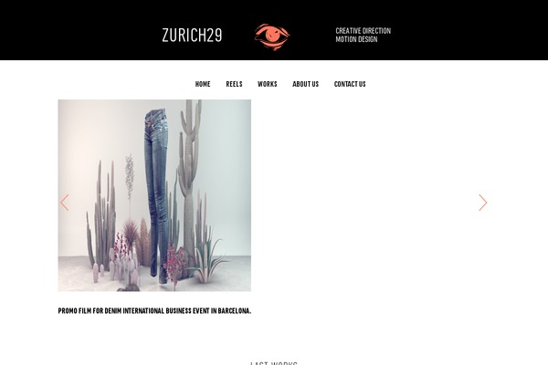 zurich29.com site used Zurich