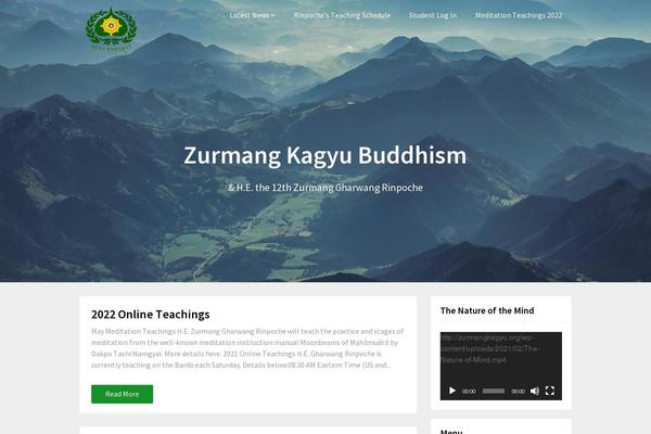 Customizable Blogily theme site design template sample