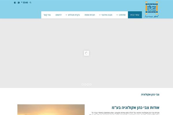 zvicohen.co.il site used Envision Child