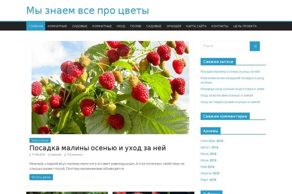 Site using Supertoc plugin