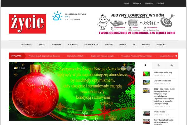 Exquisite theme site design template sample