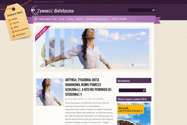 Zylyz theme site design template sample