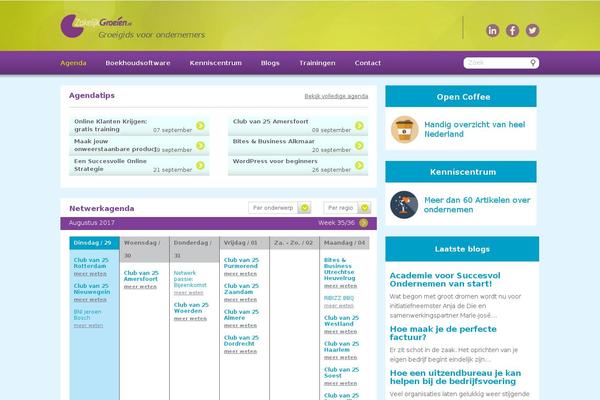 Site using Advanced Advertising System plugin